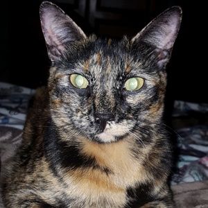 Meet your Posher, Debra